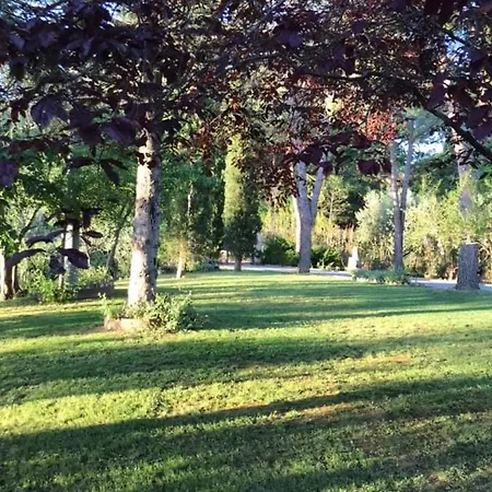 Dom wakacyjny Sunflowers - Holiday House *