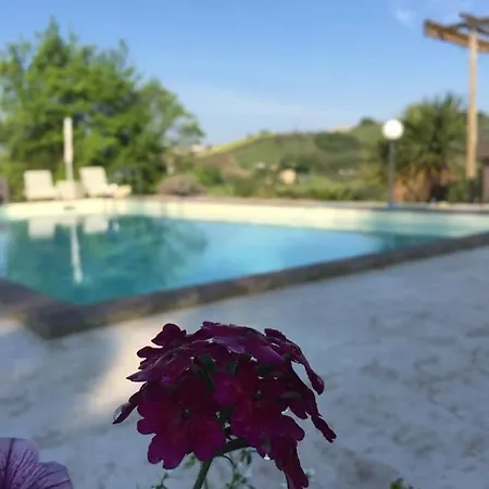 Sunflowers - Holiday House