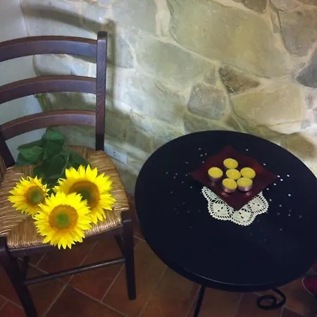 Sunflowers - Holiday House * Mogliano