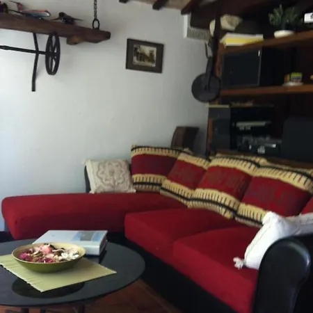 Sunflowers - Holiday House Mogliano